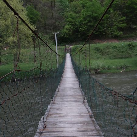 Vrbas Dreams Villa Torlakovac Ngoại thất bức ảnh
